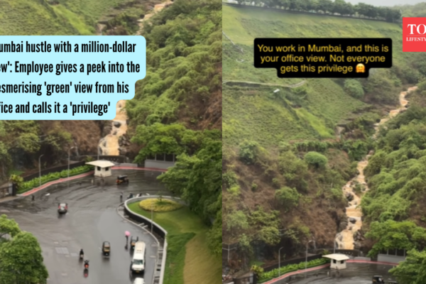 'Mumbai hustle with a million-dollar view': Employee gives a peek into the mesmerising 'green' view from his office and calls it a 'privilege'