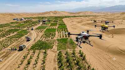 Once known as the 'Sea of Death', China's Taklamakan Desert is turning greener with drone technology | World News