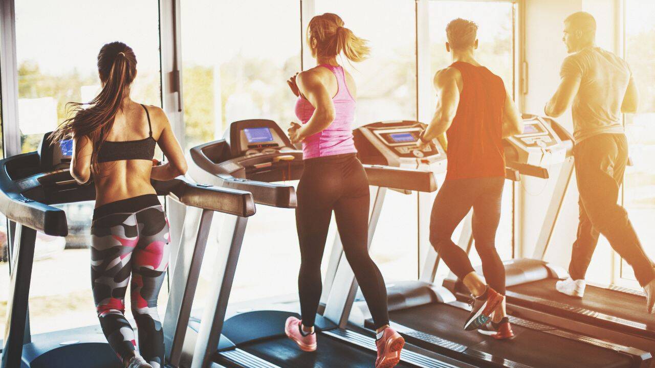 Not everyone is wired to enjoy the same workout; a new study reveals how personality traits influence exercise preferences and motivation