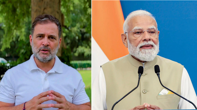 'Disgusting what government is doing': Rahul Gandhi slams police action against protesters; shares video | India News