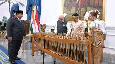 Another 'Kuch Kuch Hota Hai' moment in Indonesia as PM Modi, Prabowo try angklung - watch | India News