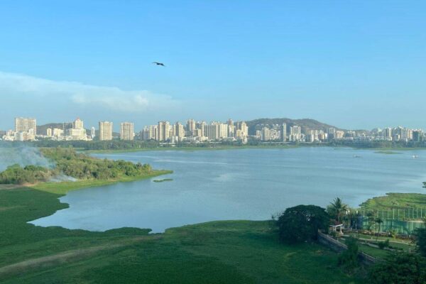 Mumbai's Powai Lake is becoming this monsoon's most unexpected wildlife attraction, thanks to the Mugger crocodiles emerging after heavy rains |