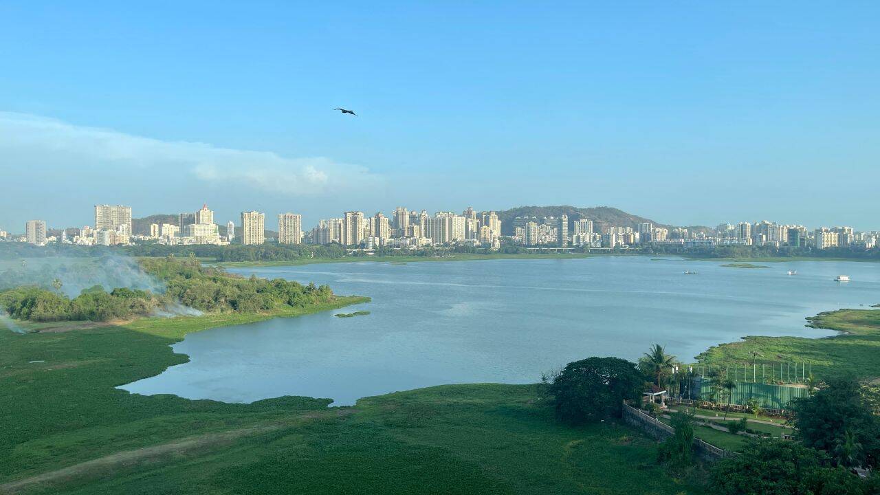 Mumbai's Powai Lake is becoming this monsoon's most unexpected wildlife attraction, thanks to the Mugger crocodiles emerging after heavy rains |