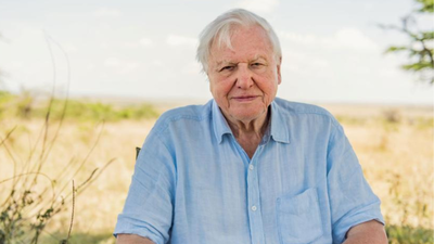 Quote of the day by David Attenborough: "No one will protect what they don't care about; and no one will care about..." |