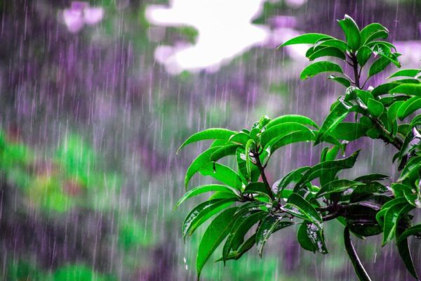 Delhi-NCR rain update: What's open, what's closed and areas travellers should avoid today amid orange alert |