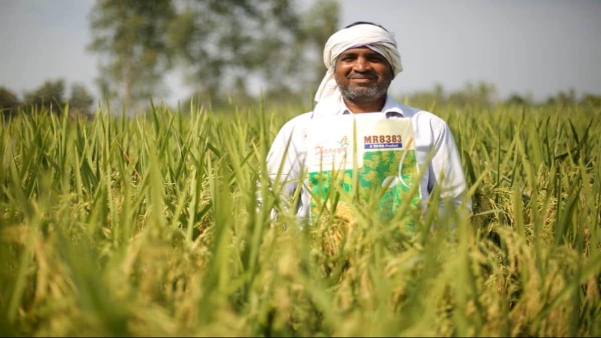Rallis India Q1 profit rises 32% as margins improve on broad-based growth