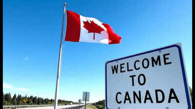 'Only thing keeping me in Canada is the amount...': Redditor says getting residency looks remote, decent job not enough