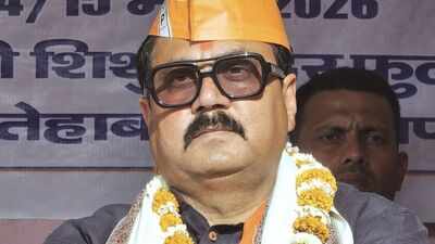 Celebratory firing death case: Bihar BJP MLA Raju Kumar Singh convicted, gets 4-year jail | India News