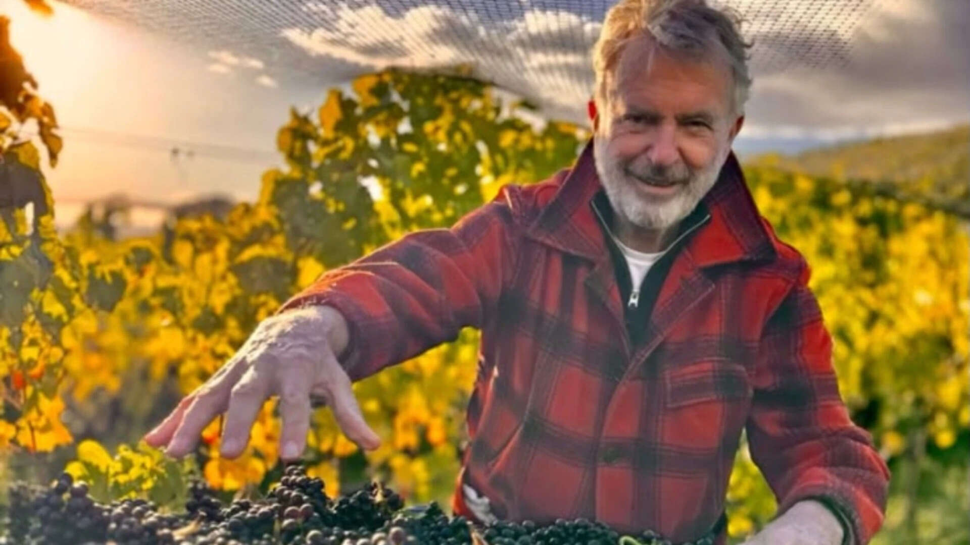 Sam Neill Quote: Quote of the day by Sam Neill: ‘You are unique. There is only one you. Except that there is no better, and there is no worse,’ a life-defining lesson by the late ‘Jurassic Park’ star on the importance of individuality and accepting yourself | English Movie News