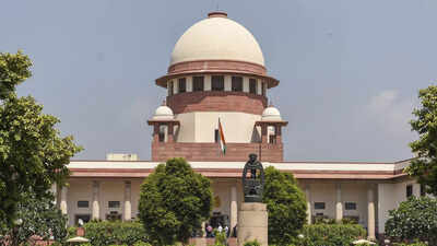 Supreme Court warns against unchecked AI use in courts after NCLT cites fake cases | India News