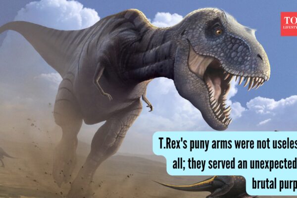 T.Rex's puny arms were not useless at all; they served an unexpected and brutal purpose