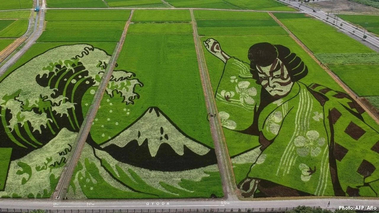 This Japanese village hides giant artworks in its rice fields: From Tanjiro to Napoleon, they only emerge every summer to mesmerise the world |