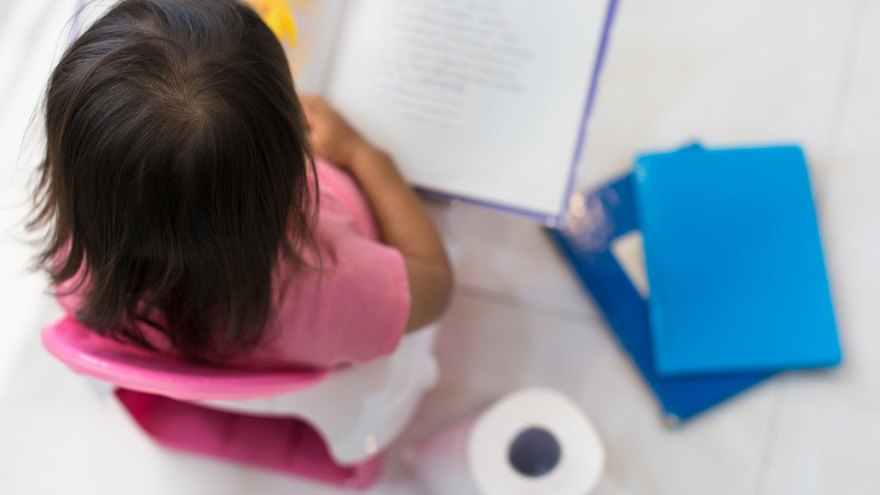 Potty Training Guide: Realistic potty training guide: A 3-day kick-start to help your toddler learn
