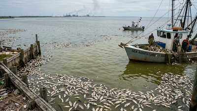 The Gulf of Mexico grows a vast ‘dead zone’ every summer, but what happens beneath the water threatens far more than marine life |