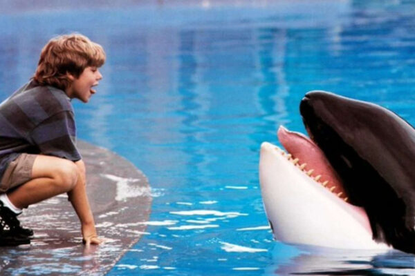 'Free Willy' Returns: Exciting Reimagining of 90s Classic Family Adventure on the Way |