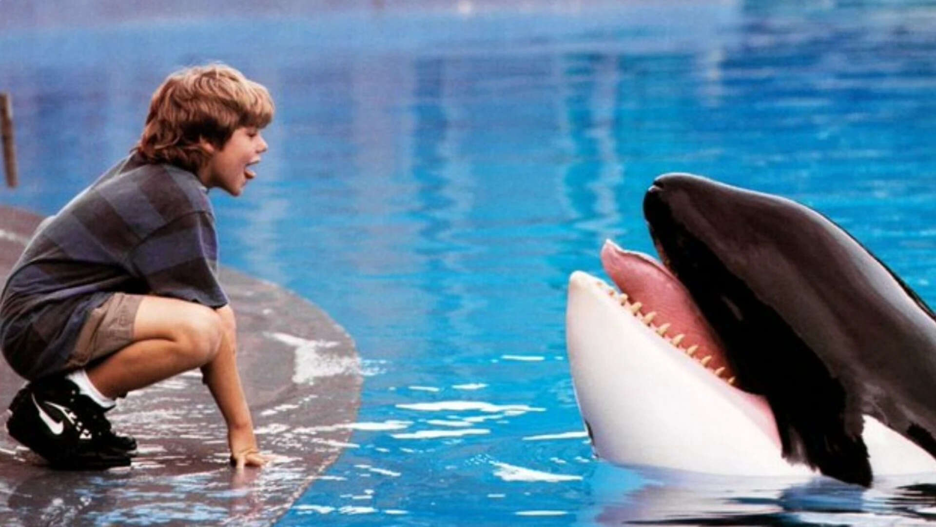'Free Willy' Returns: Exciting Reimagining of 90s Classic Family Adventure on the Way |