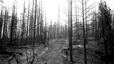 The legend of California's terrifying Char-Man: How a wildfire gave birth to one of America's haunting legends | World News