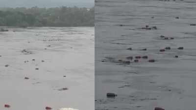 Watch: Heavy rain sends 3,000 LPG cylinders floating down river in Maharashtra's Raigad | Navi Mumbai News