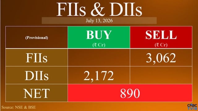 FIIs turn sellers again, pull out ₹3,062 crore as DIIs lend support
