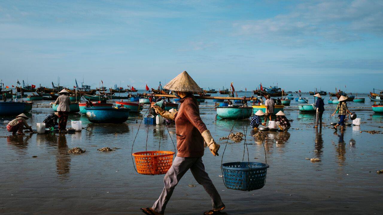 “I ate a raw, still-pumping snake heart”: This hidden snake village near Hanoi offers one of Vietnam's wildest travel experiences |