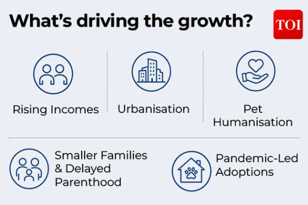 Exploring India's Booming Pet Care Economy: The Rise of Pet Parenting | India Business News
