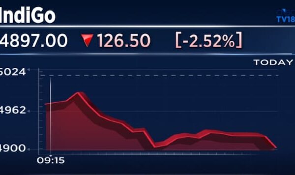 Sole IndiGo 'bear' expects airline stock to fall 19% even as majority still say 'buy'