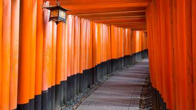 Why does this street in Japan look like an endless tunnel of red gates: The fascinating story behind thousands of vermilion ‘torii’ | World News
