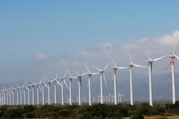 ONGC-NTPC-backed Ayana bags 50 MW wind power project from SECI