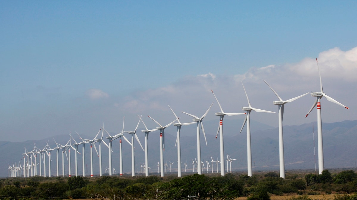 ONGC-NTPC-backed Ayana bags 50 MW wind power project from SECI