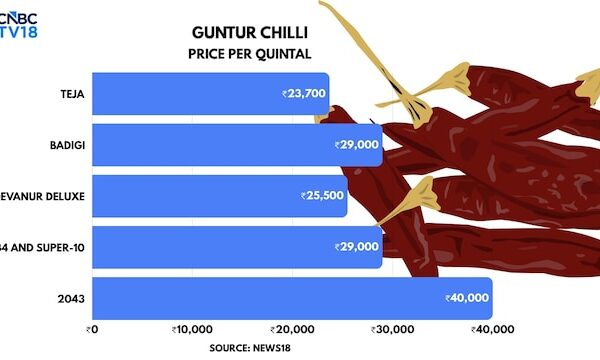 Why Guntur chillies are so expensive suddenly