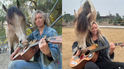 Los Angeles singer taught her rescue horse to play the guitar and harp, and now they are releasing an album together | World News