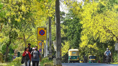 CAG finds 98% shortfall in Green India Mission forest cover targets, red-flags multiple lapses