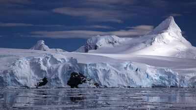 Antarctica’s melting glaciers are leaking toxic mercury into the ocean, which could increase toxic metal levels in the marine food chain and humans |