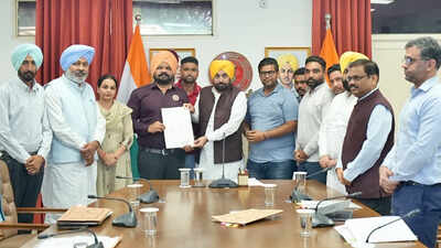 Punjab CM Mann approves hike in salaries of Adarsh schools' teachers | India News
