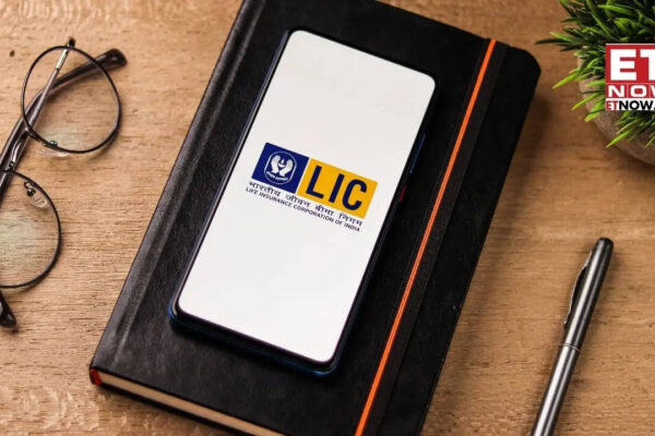 LIC OFS: Govt to sell 4% more stake via green shoe option; floor price set at Rs 382