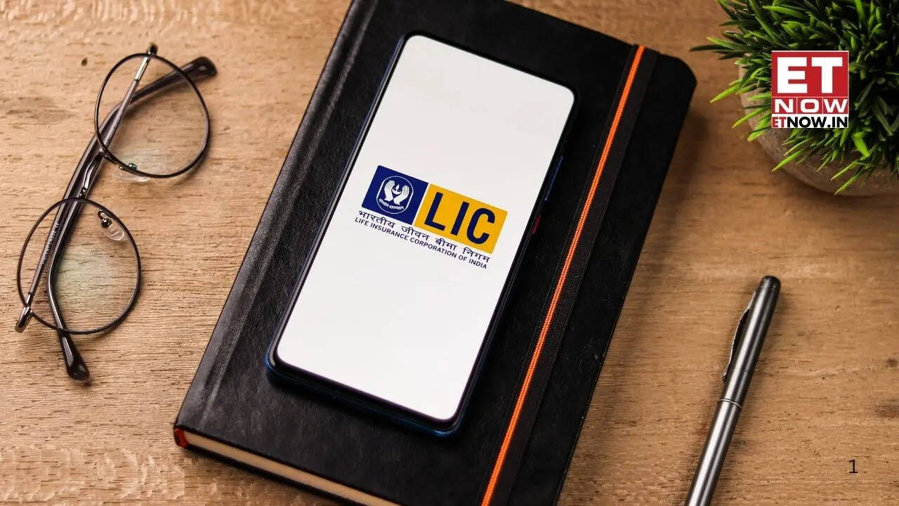 LIC OFS: Govt to sell 4% more stake via green shoe option; floor price set at Rs 382