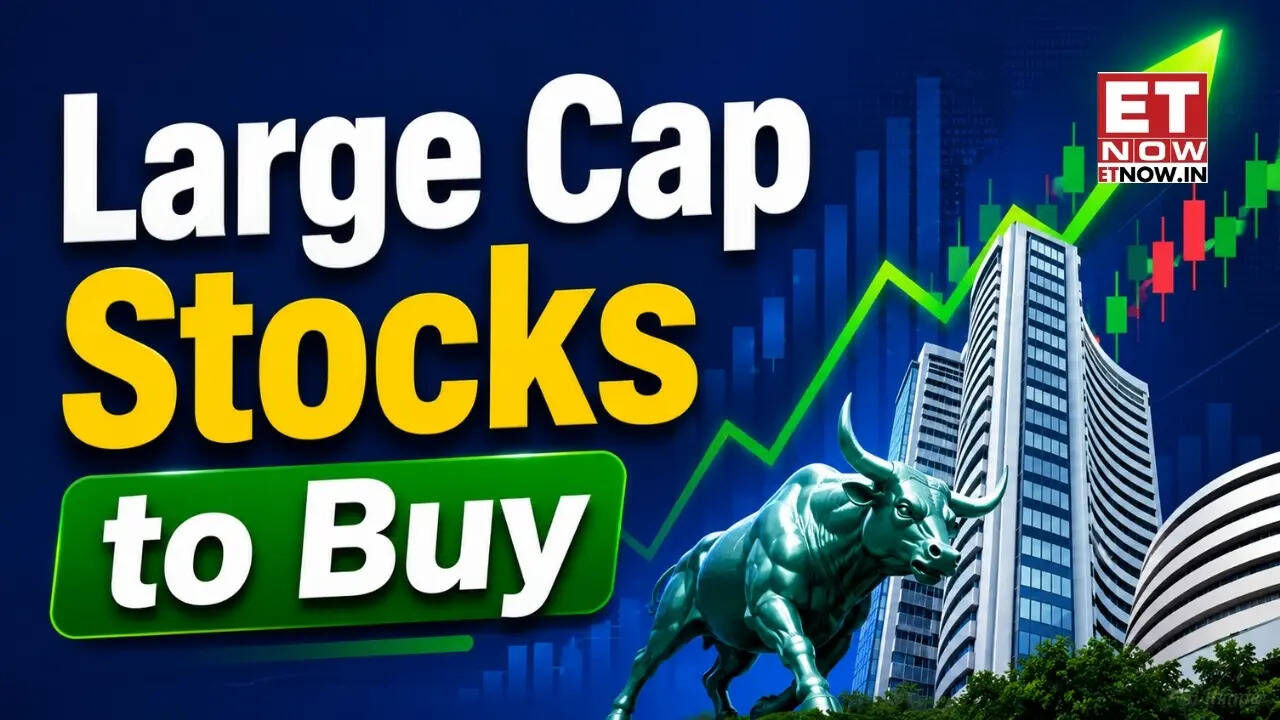 Large Cap Stocks to Buy: Adani Enterprises, LIC, Axis Bank, PFC and others - Top 10 analyst picks with up to 34% upside potential | Full list - Markets