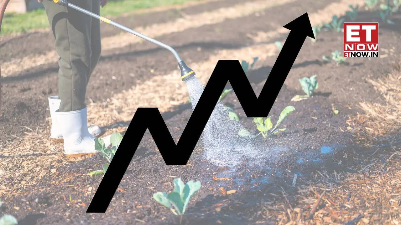 Fertiliser stocks today: FACT, NFL, Rashtriya Chemicals, Paradeep Phosphates rally up to 17% as Russia offers to boost India supplies - Markets