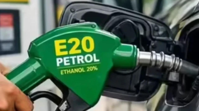 Reaction teams to flag 'fake info' on E20 blending | India News