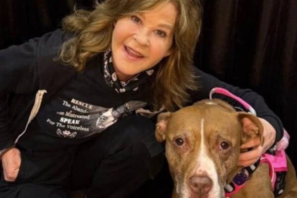 'Exorcist' star Linda Blair's California residence gets raided by Animal Control and others over 100-dog kennel operation |