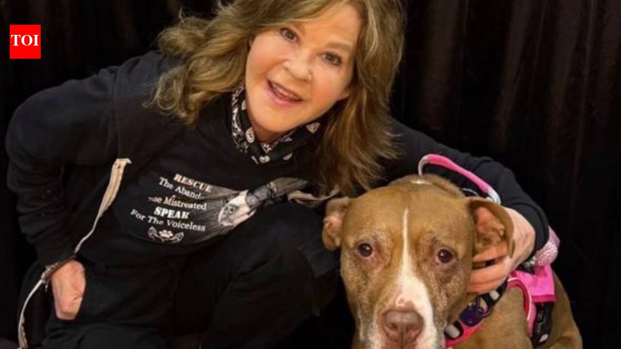 'Exorcist' star Linda Blair's California residence gets raided by Animal Control and others over 100-dog kennel operation |