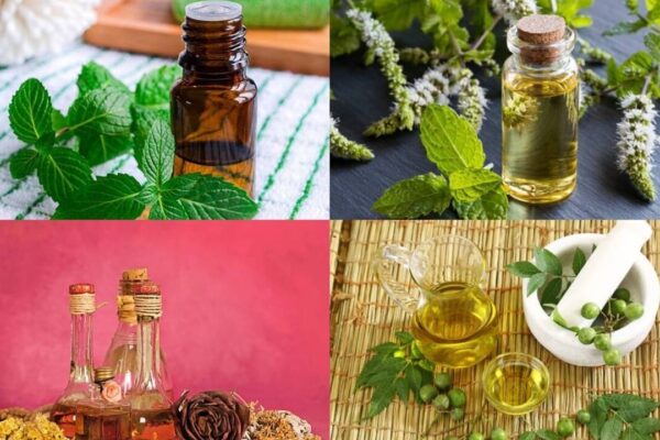 6 DIY mosquito repellents that actually work at home |