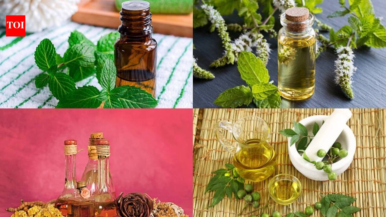 6 DIY mosquito repellents that actually work at home |