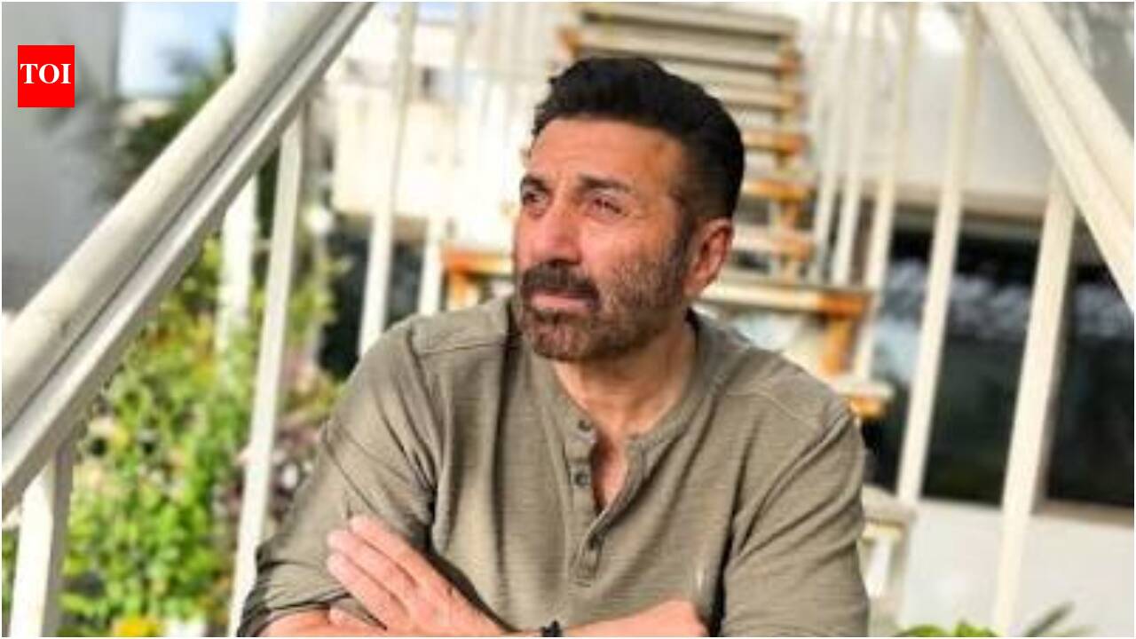 Rajkumar Santoshi says Sunny Deol's role in 'Batwara 1947' is his most courageous character yet: 'He is better and stronger than Iron Man and Superman put together' |