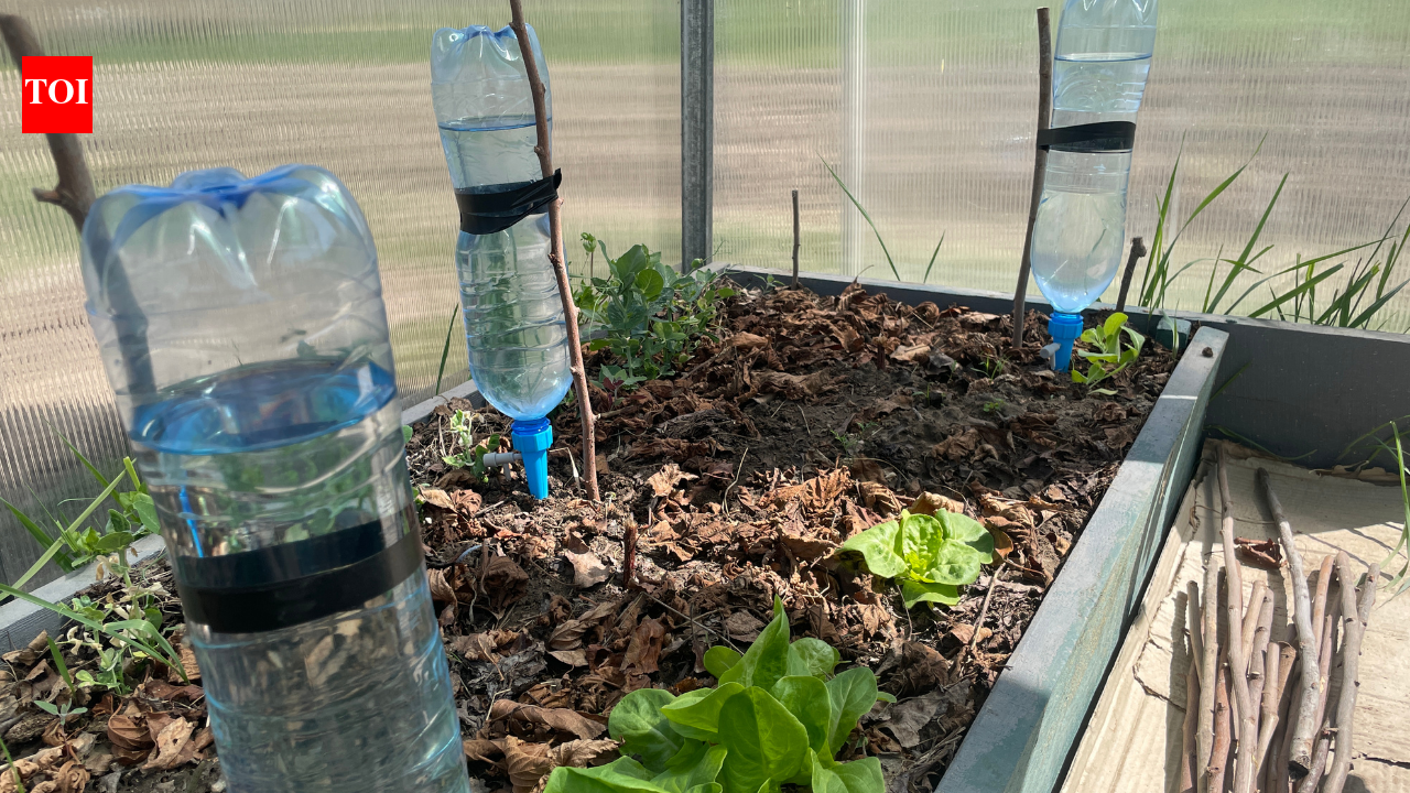 Upcycle Plastic Bottles: Do not throw away plastic bottles; turn them into useful household tools using these simple steps