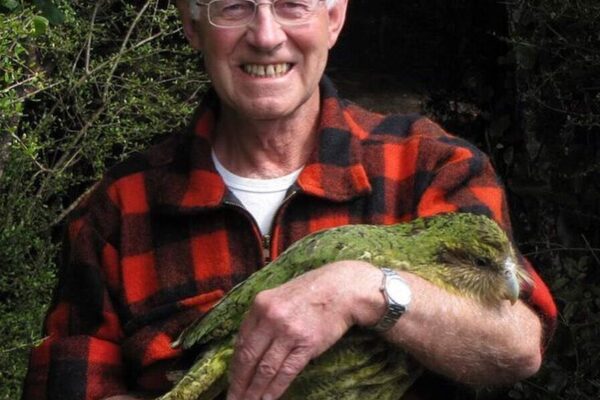 In 1894, a conservationist rowed hundreds of flightless birds to a remote island; then he lived there for 14 years to protect them | World News