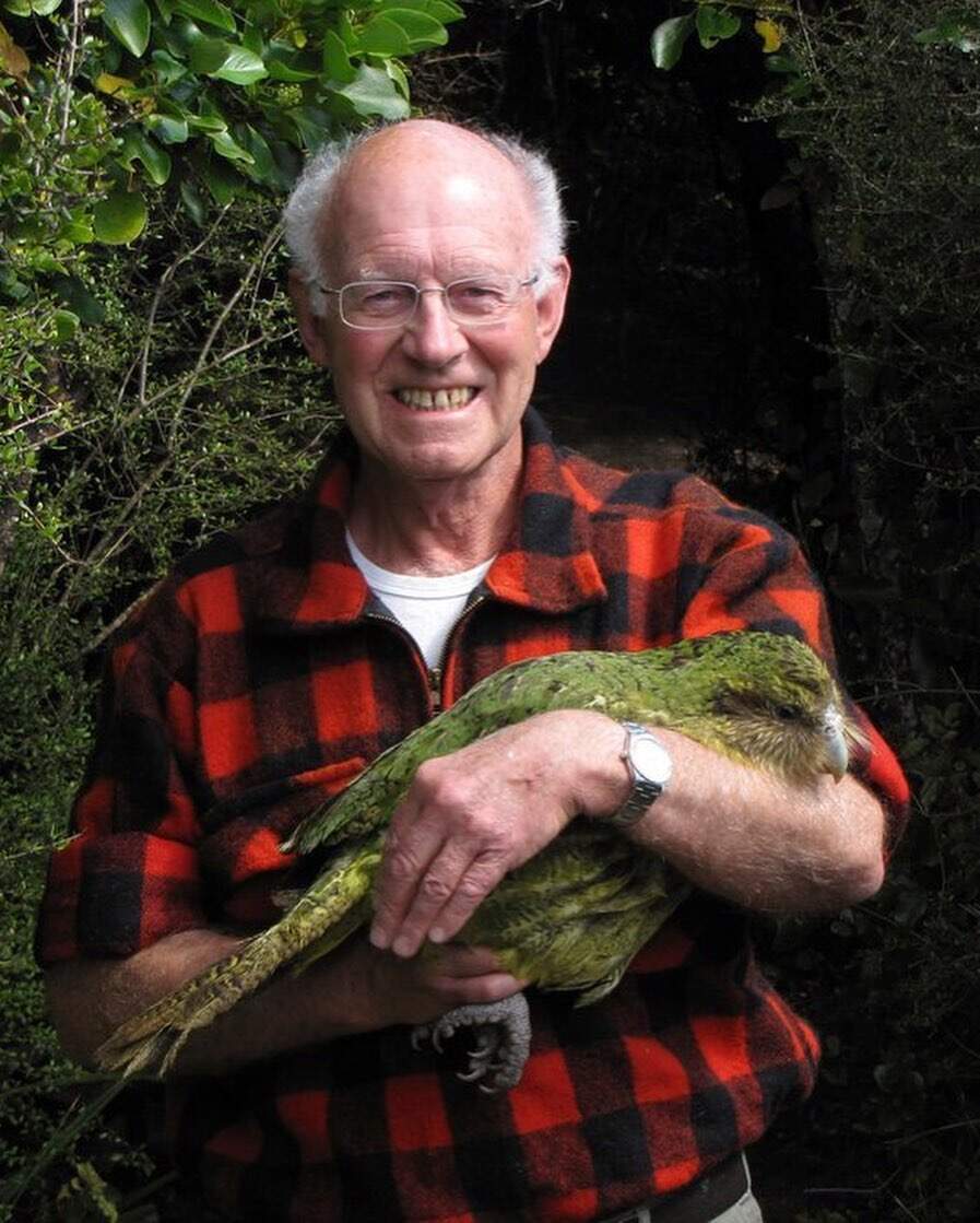 In 1894, a conservationist rowed hundreds of flightless birds to a remote island; then he lived there for 14 years to protect them | World News