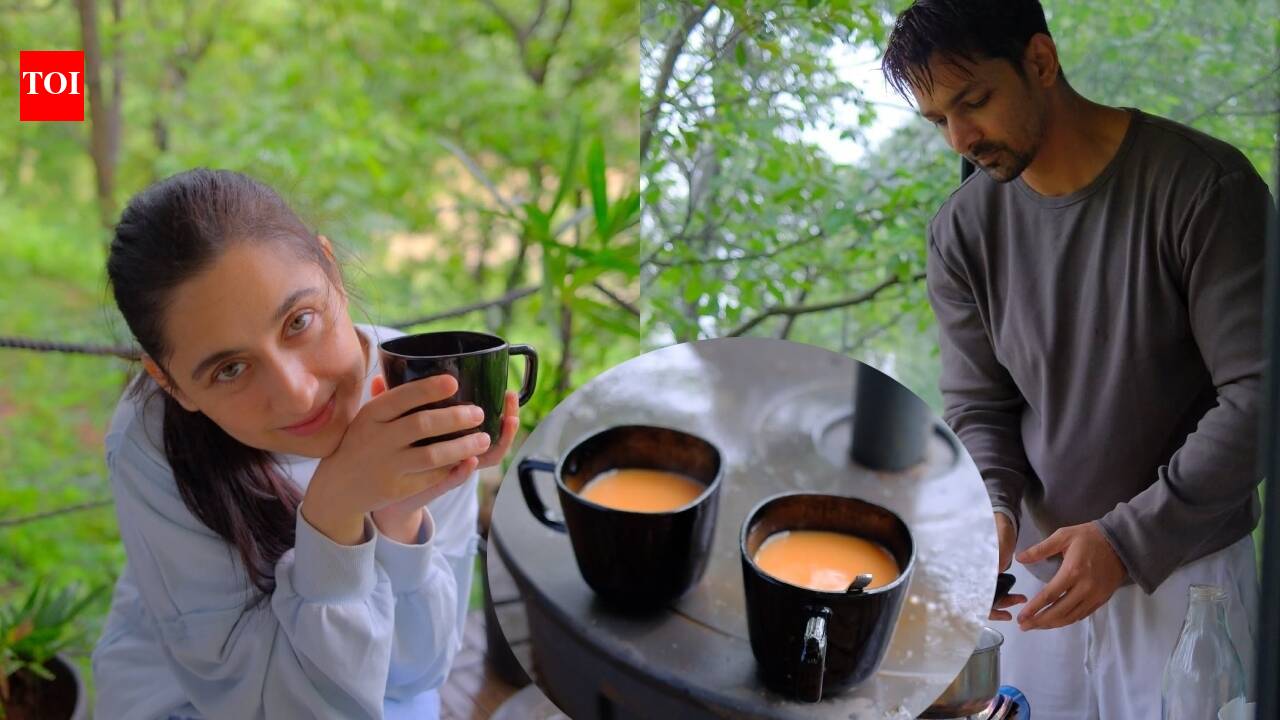 Harshvardhan Rane, Sanjeeda Shaikh spark fresh dating rumours after they post matching PICS from their vacay, eagle eyed fans notice details |