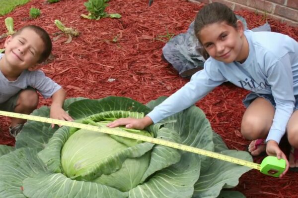 Meet Katie Stagliano, the 9-year-old American who, in 2008, grew a 40-pound cabbage; it fed 275 people and inspired 100 youth-run gardens |