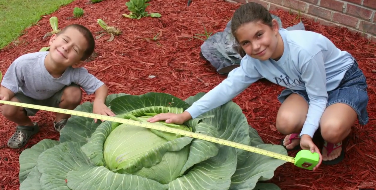 Meet Katie Stagliano, the 9-year-old American who, in 2008, grew a 40-pound cabbage; it fed 275 people and inspired 100 youth-run gardens |